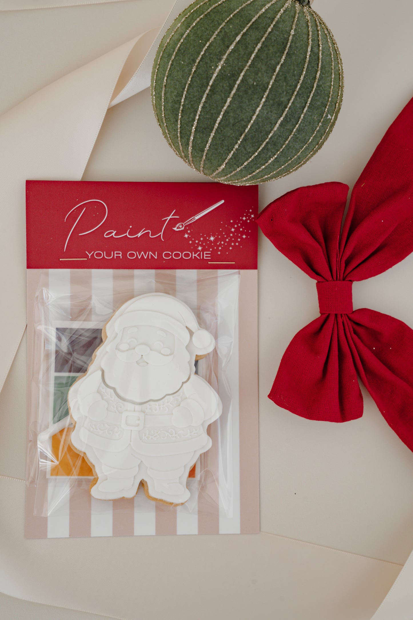 Paint Your Own Santa