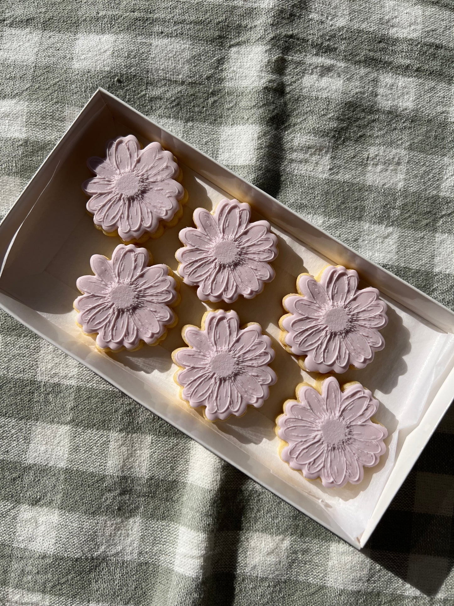 Mini Daisies - 6 Pack