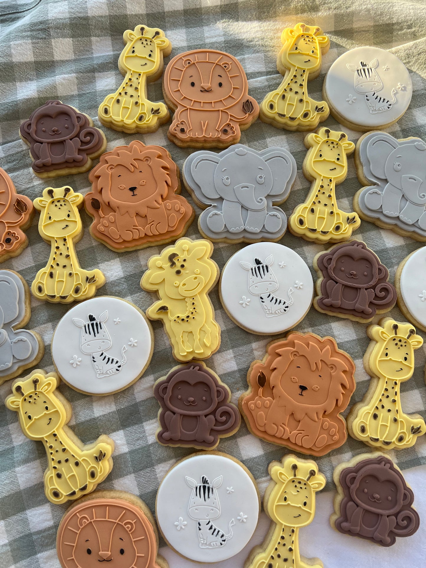 Safari Theme Cookies