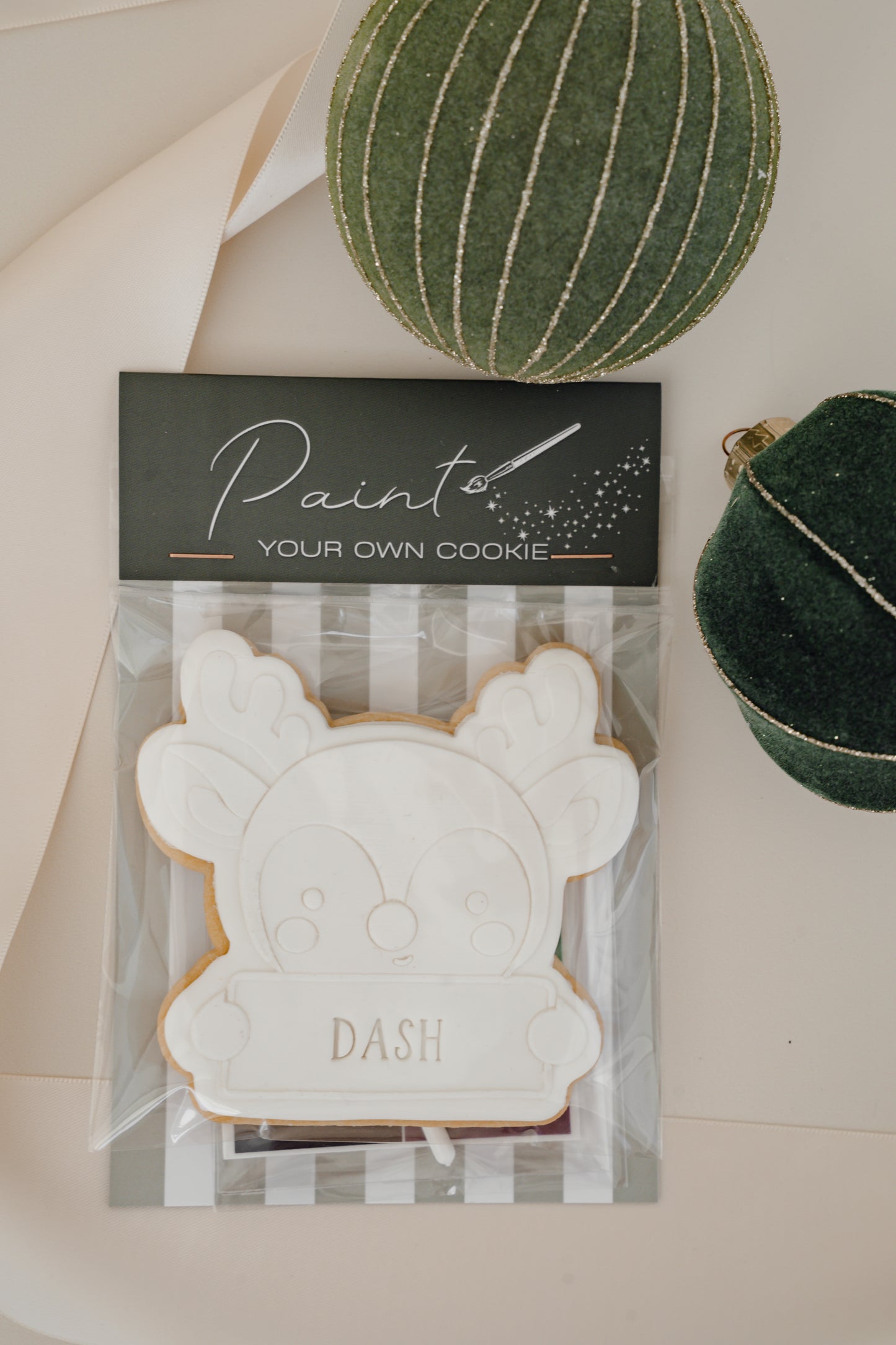 Paint Your Own Reindeer