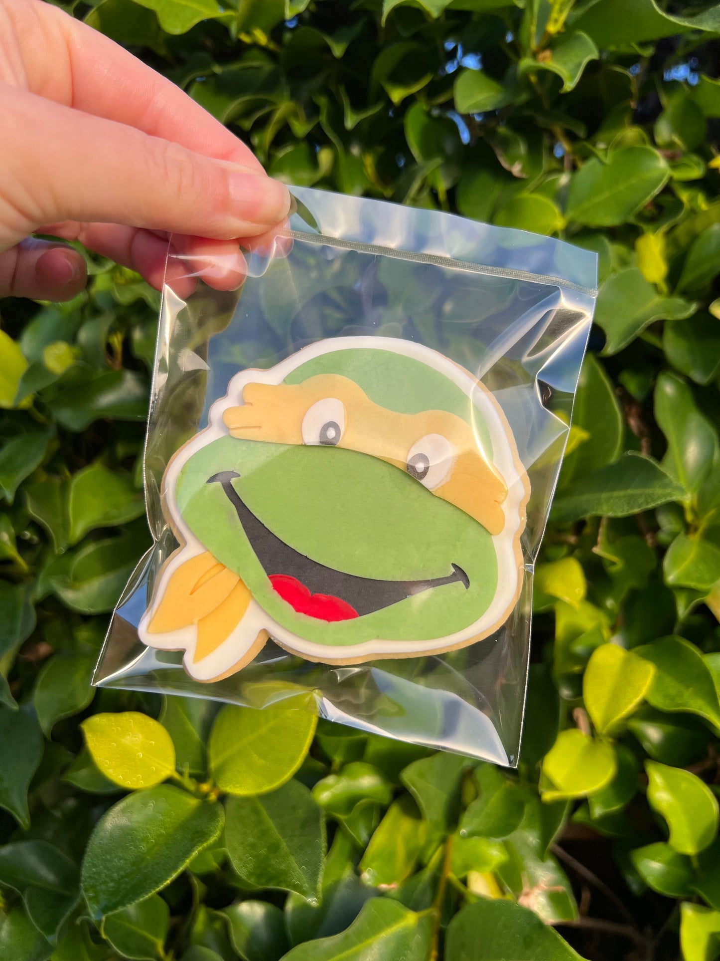 Teenage Mutant Ninja Turtles