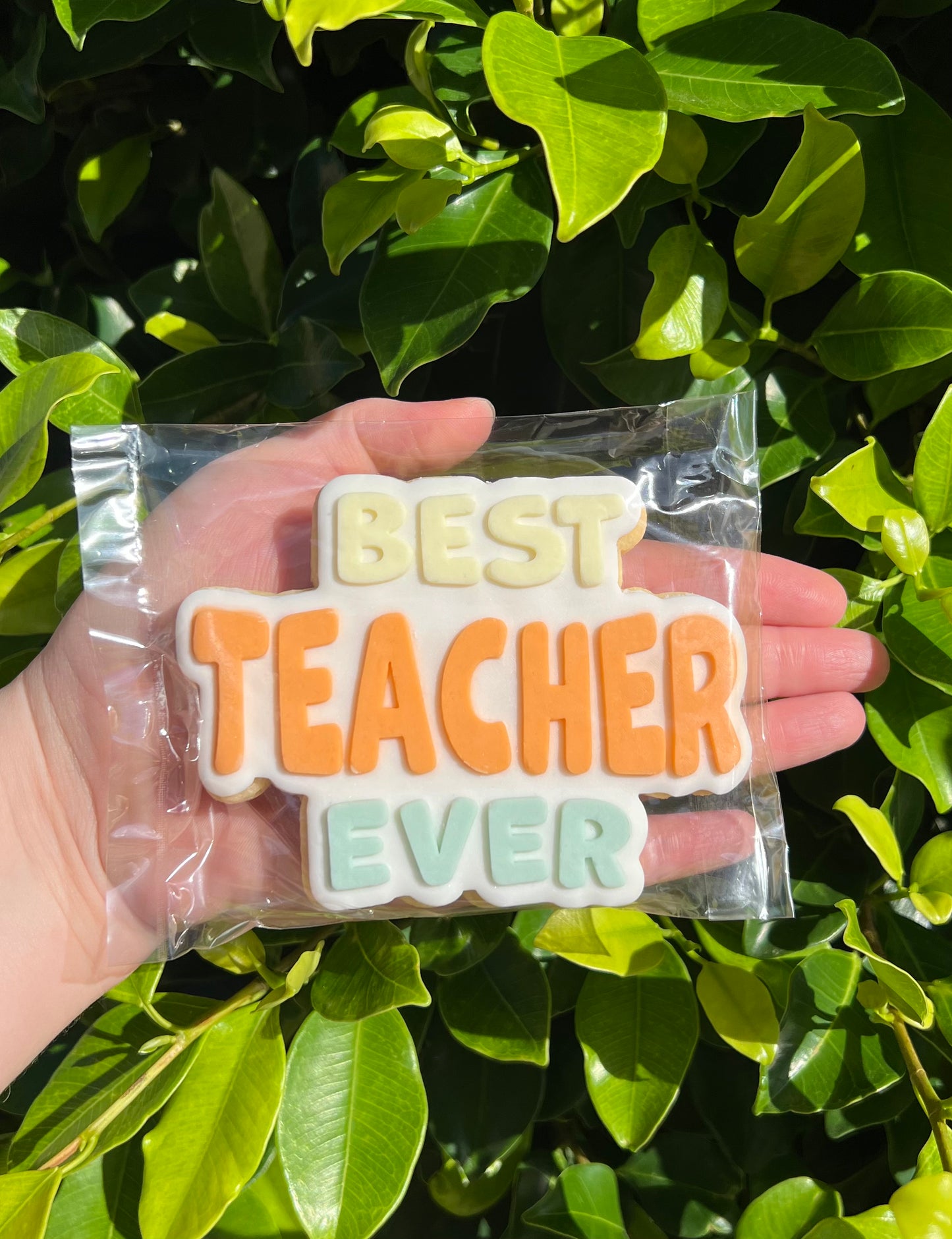 Best Teacher Ever