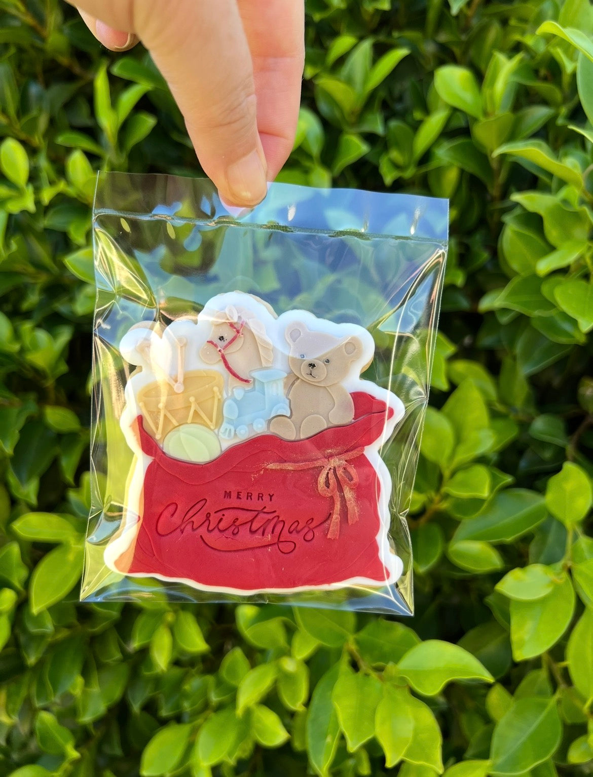Santa Sack