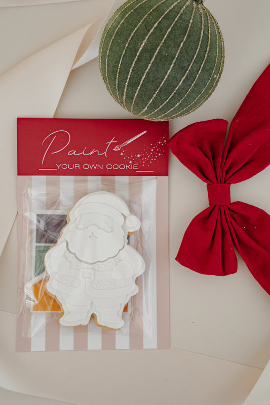 Paint Your Own Santa