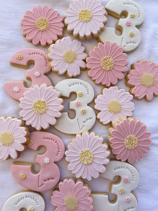 Beautiful Daisies