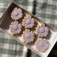Mini Daisies - 6 Pack