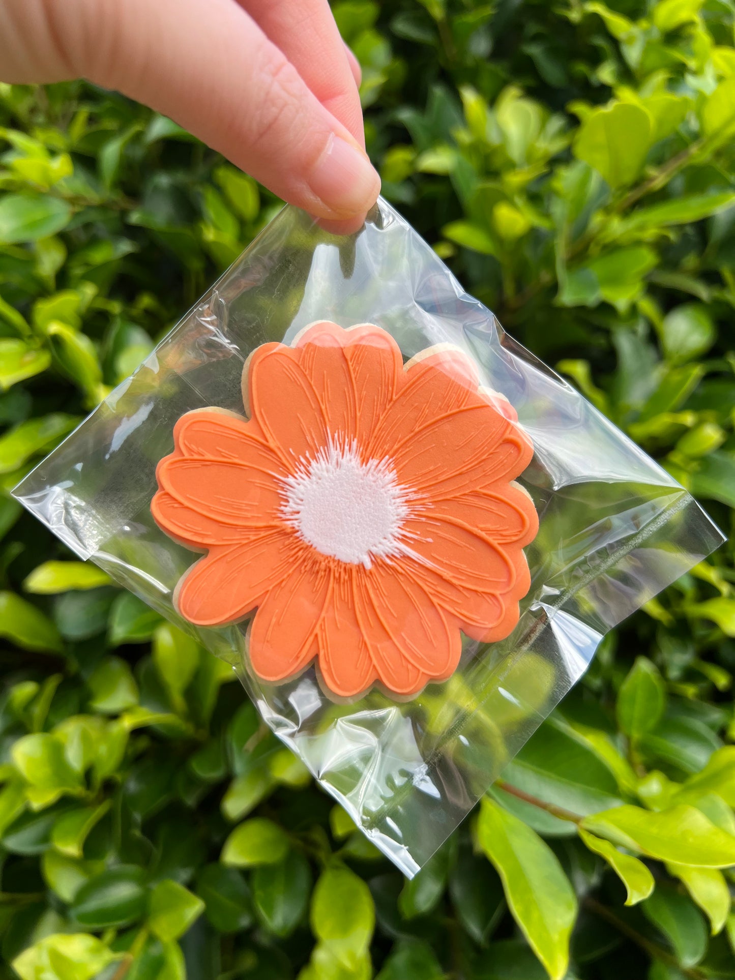 Daisy Cookies