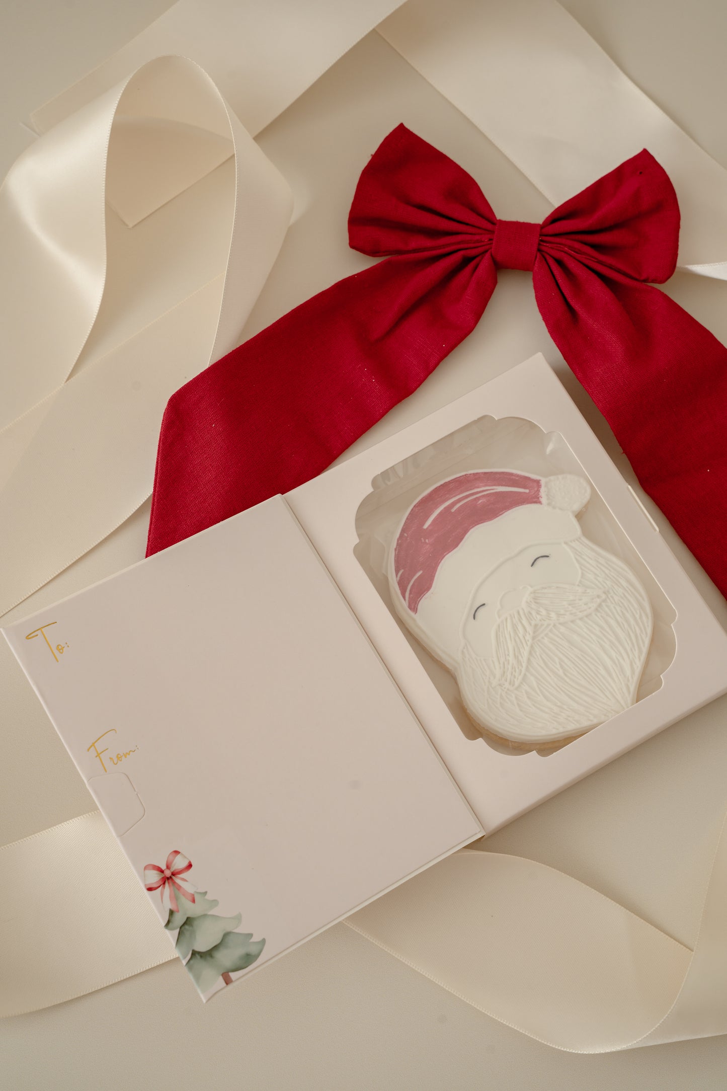 Merry Christmas Santa