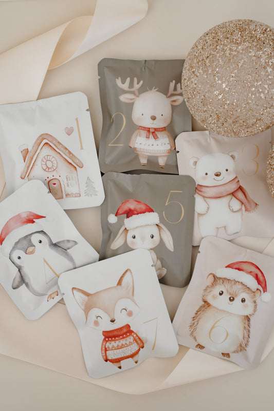 24 Day Surprise Advent Satchels