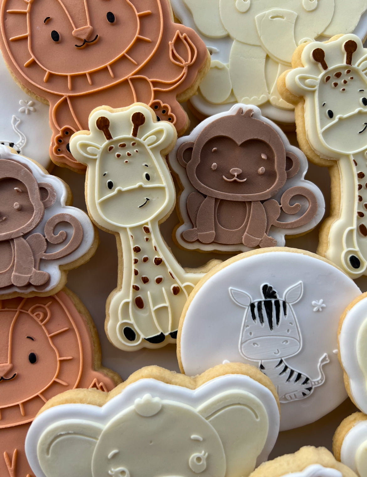 Safari Theme Cookies