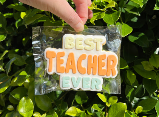 Best Teacher Ever