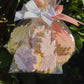 Bag of Daisies