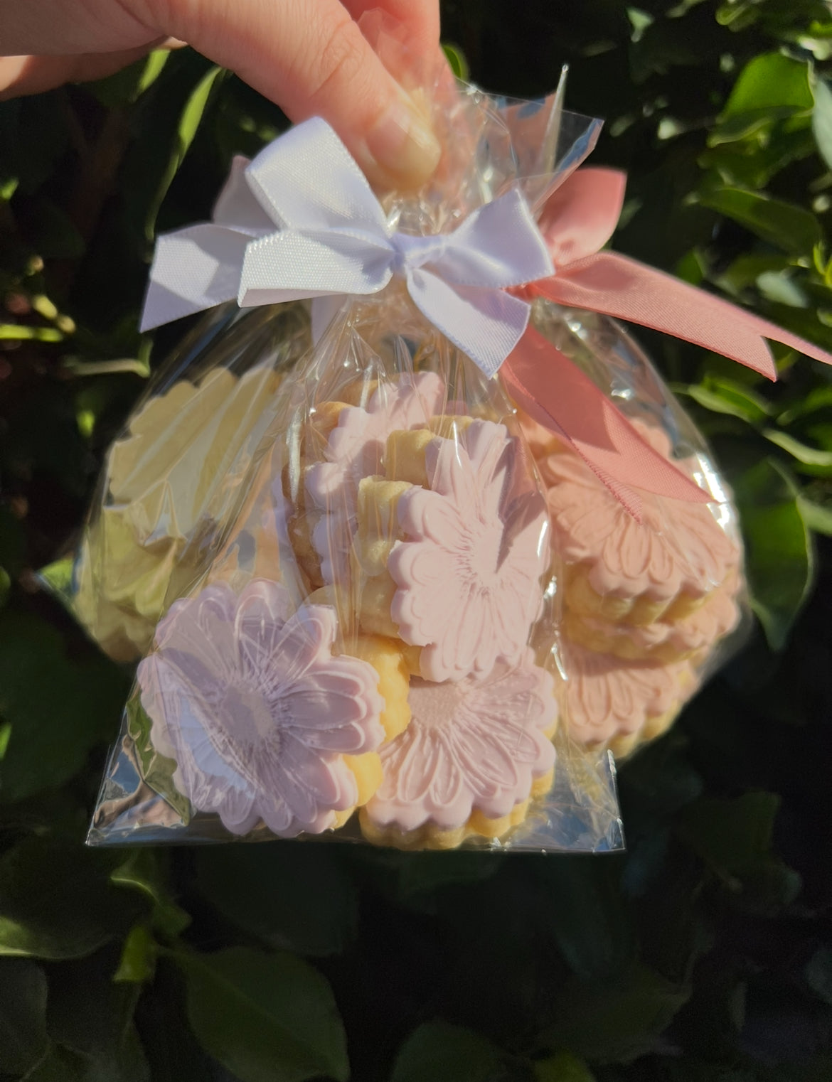 Bag of Daisies