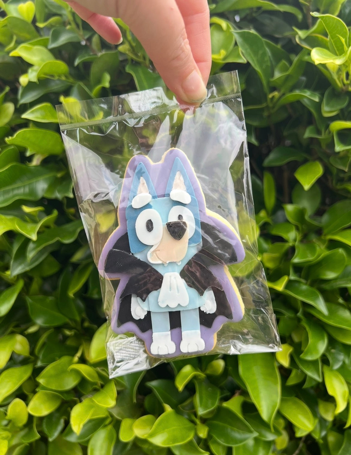 Bluey - Halloween