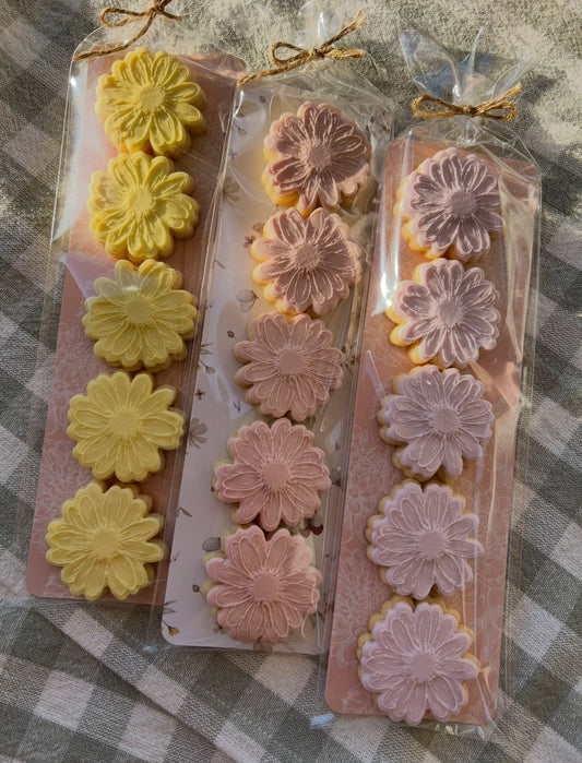 Mini Daisies on Card